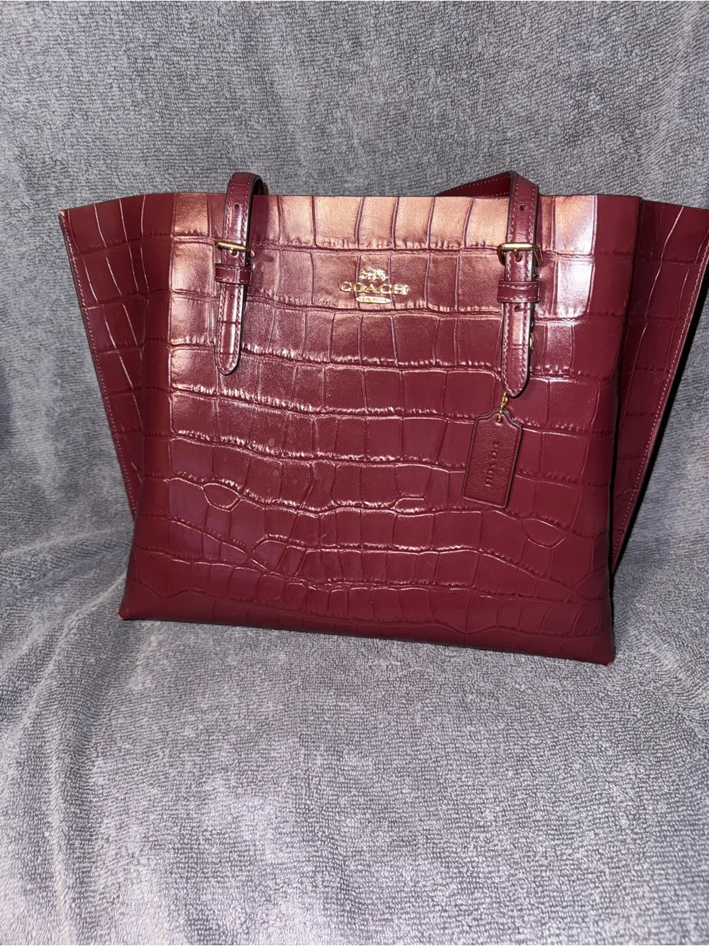 Coach Mollie Tote